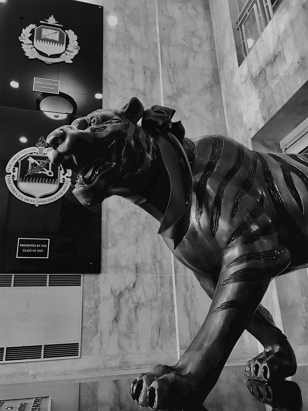 Eisenhower Tiger